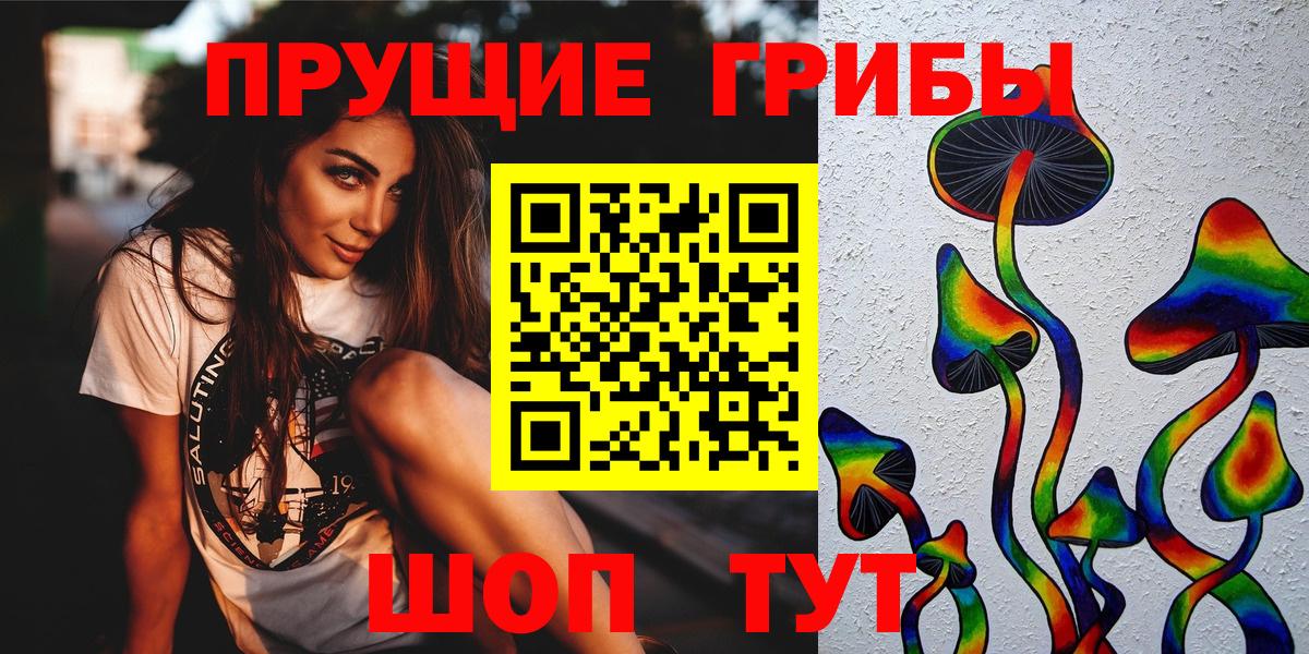 Галлюциногенные грибы Psilocybe  Вход с VPN  Сосновоборск 
