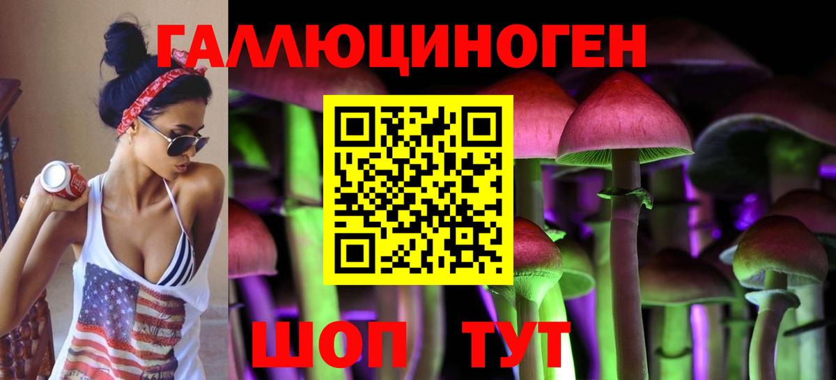 Псилоцибиновые грибы мицелий Сосновоборск